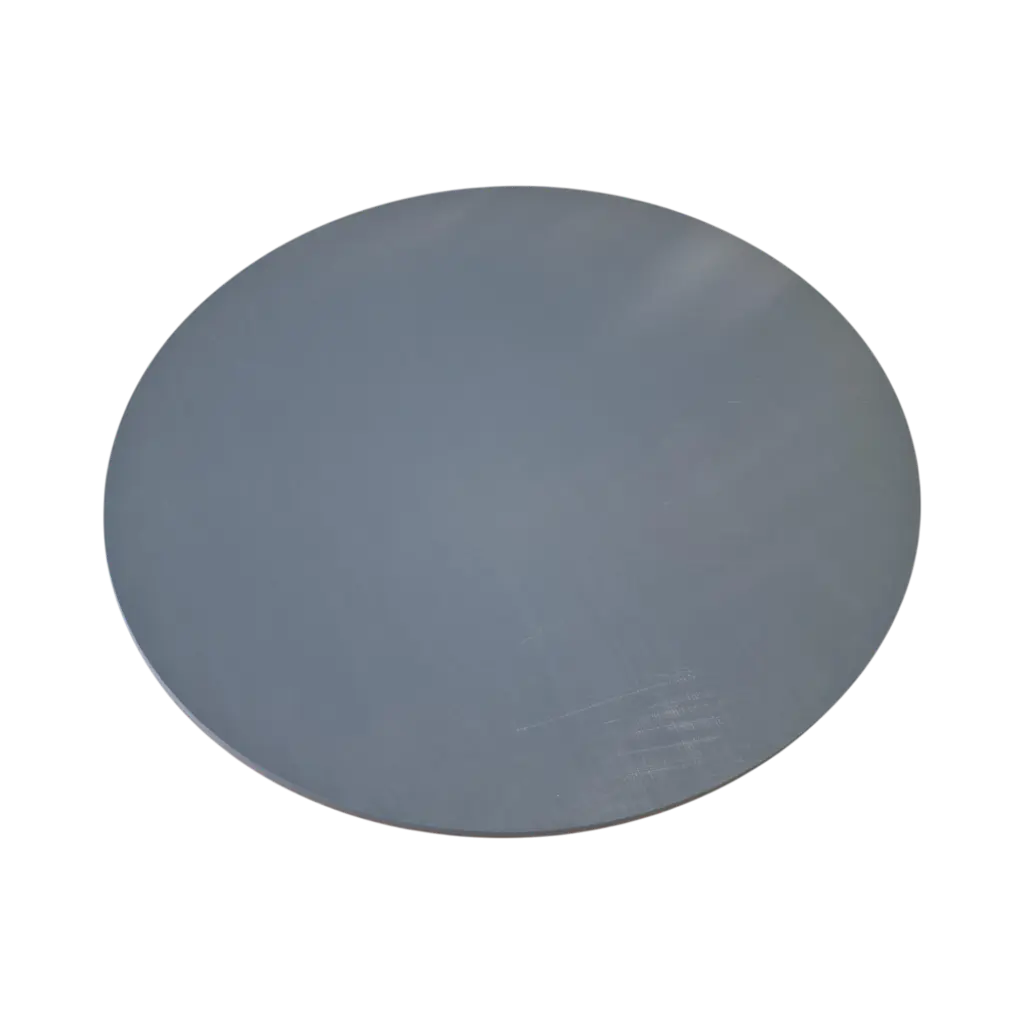 Wechselscheibe aus Kunststoff Ø320 x 8mm (2-Loch 254mm / 10 Zoll)