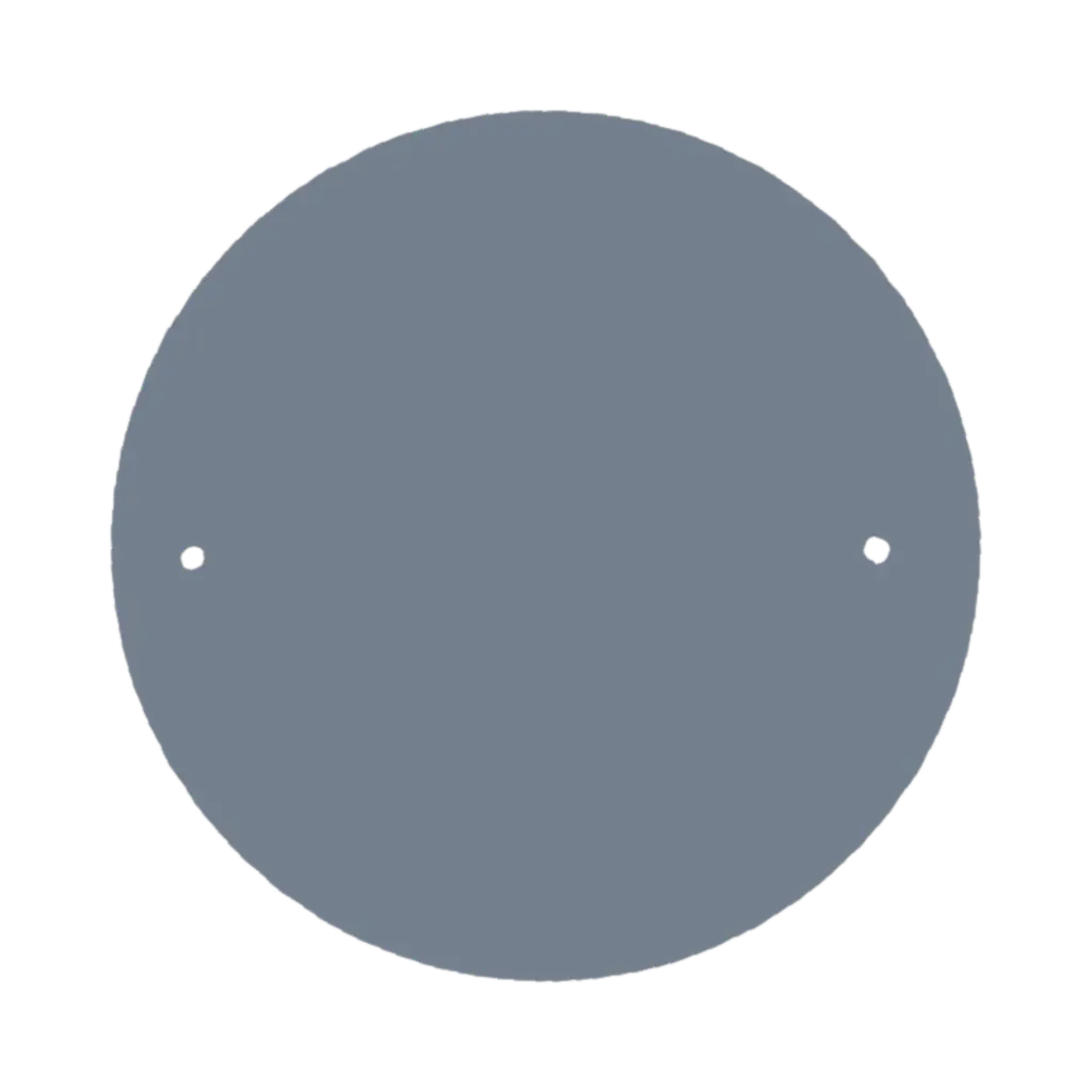 Disco intercambiabile in plastica Ø305 x 6 mm (2 fori 254 mm / 10 pollici)